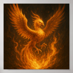 Poster Phoenix: Comece a renascer
