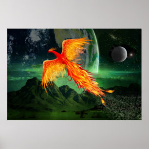 Pôster Phoenix de voo alto