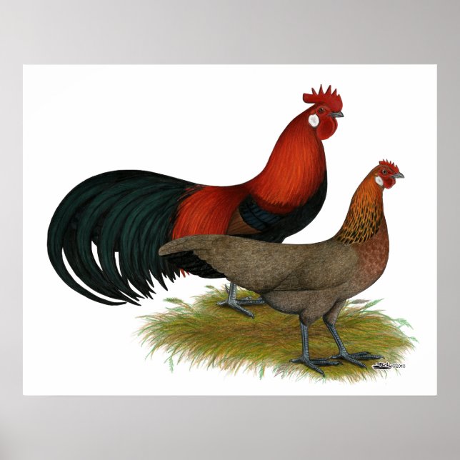 Pôster Phoenix: Par Vermelho BB (Frente)