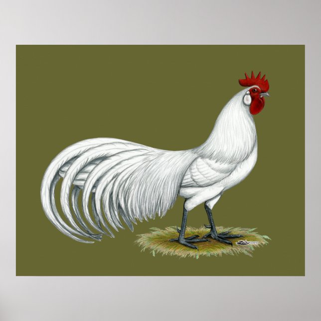 Pôster Phoenix: White Rooster (Frente)