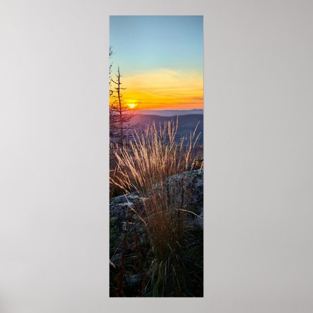 Poster photo of a mountainous autumn forest, mountains, p (Frente)