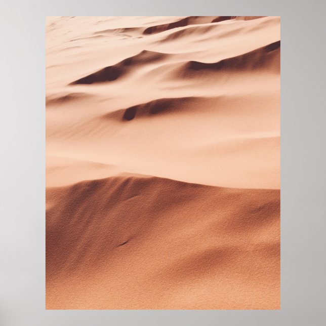 Poster Photo of desert sand (Frente)