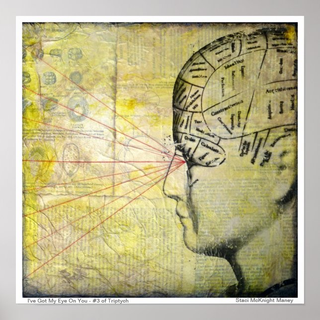 Poster Phrenology Skull 3 Vintage (Frente)