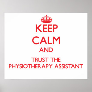 Pôster PHYSIOTHERAPY-ASSIST1443.png