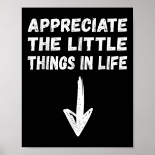Poster Piada Inadequada, Aranha Sarcástica Hilária Oferec