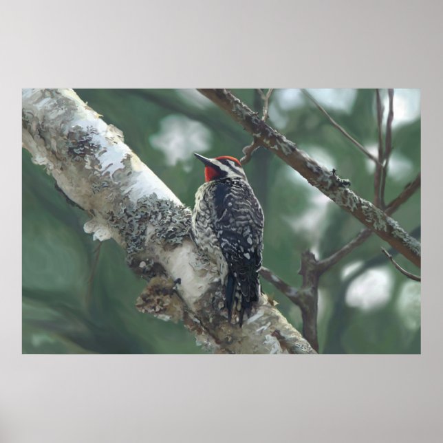 Pôster Pica-pau (Frente)