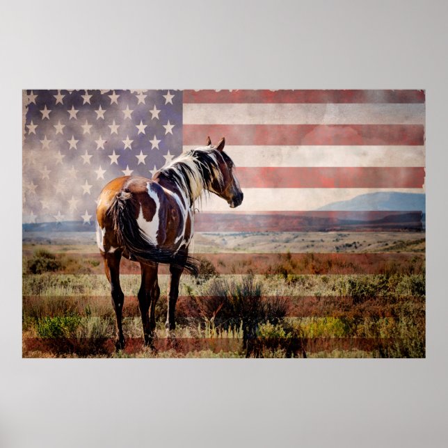 Poster Picasso of Sand Wash Basin (Frente)