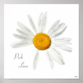 Pôster Pick Love Daisy