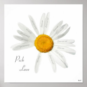 Pôster Pick Love Daisy