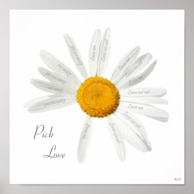 Pôster Pick Love Daisy (Frente)