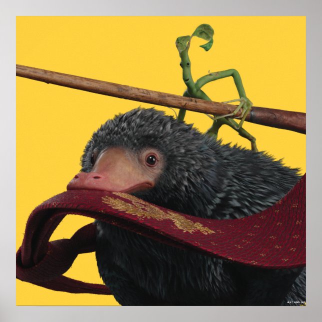 Poster Pickett e Ursinho com Wand e Tie (Frente)