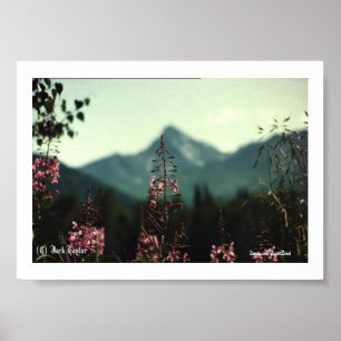 Poster Pico de Matanuska e Fireweed #01, (c) Jack Taylo