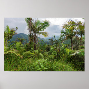 Poster Picos e vales de el yunque