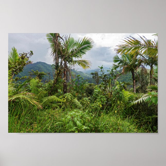 Poster Picos e vales de el yunque (Frente)