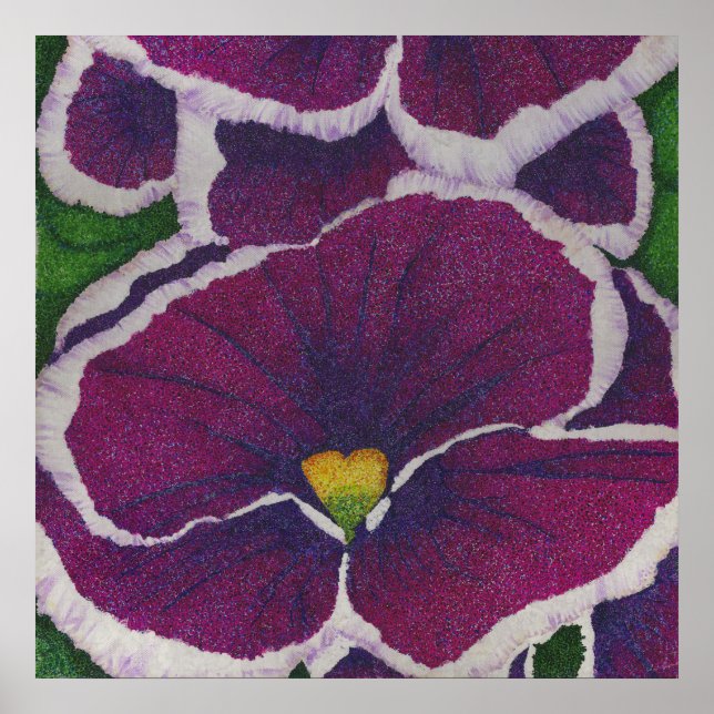 Poster Picottee Pansy (Frente)