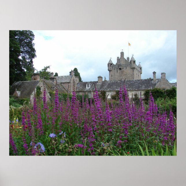 Poster Picture Purple (Frente)