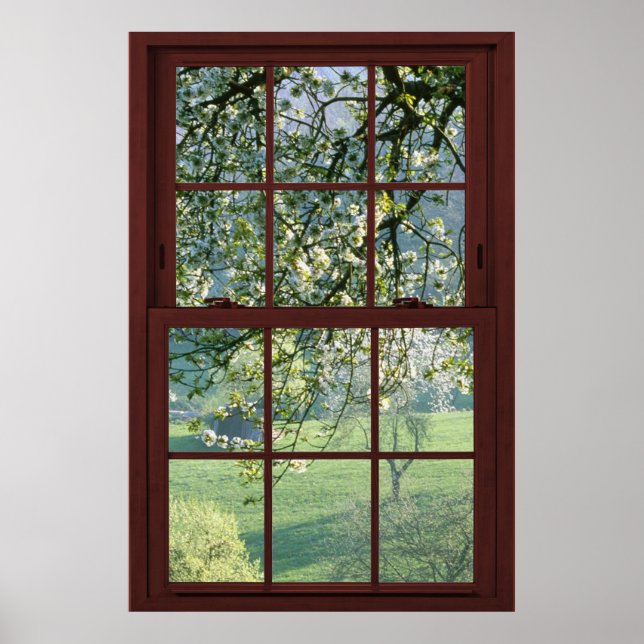 Pôster Picture Window Landscape - Cherry Blossoms. (Frente)