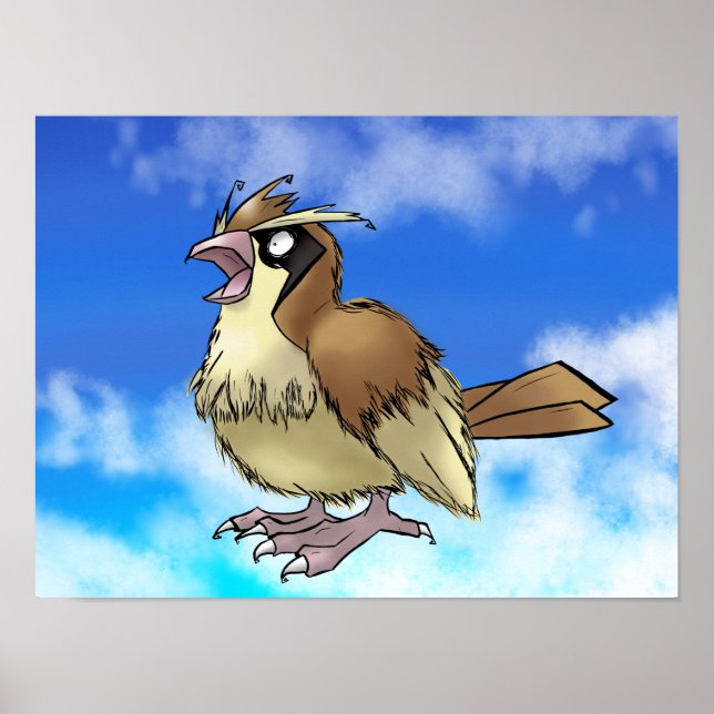 Poster Pidge Y (Frente)