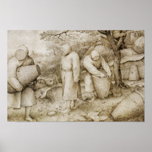 Pôster Pieter Bruegel a pessoa idosa - apicultor