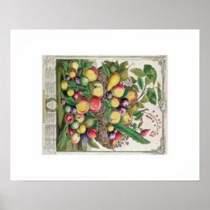 Pôster Pieter Casteels, doze meses das frutas, julho