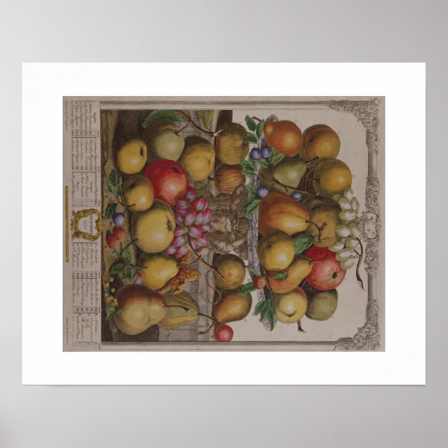 Pôster Pieter Casteels, Doze Meses de Fruta, dezembro (Frente)