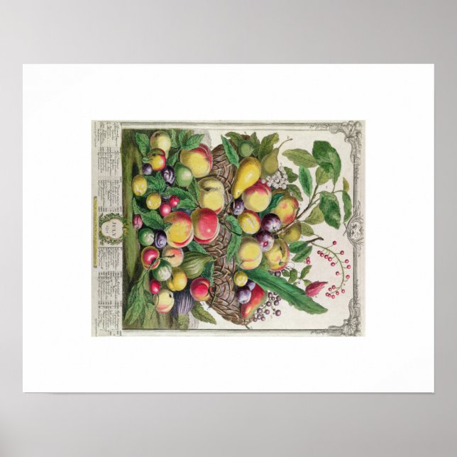 Pôster Pieter Casteels, doze meses de Frutas, julho (Frente)