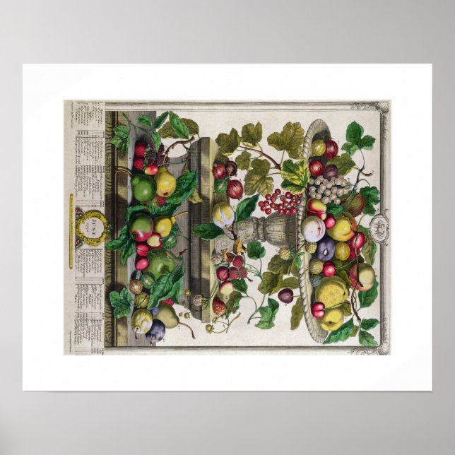 Pôster Pieter Casteels, doze meses de Frutas, junho (Frente)