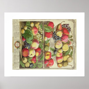 Poster Pieter Casteels, Doze Meses de Frutas, setembro