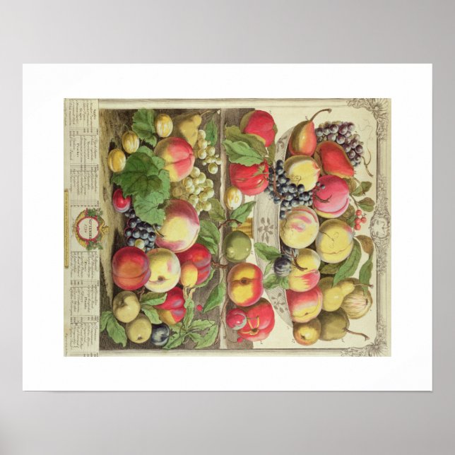 Poster Pieter Casteels, Doze Meses de Frutas, setembro (Frente)
