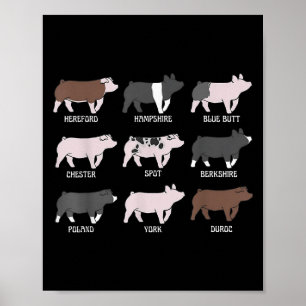 Poster Pig Breed Show Pig Swine Show Girl Pig