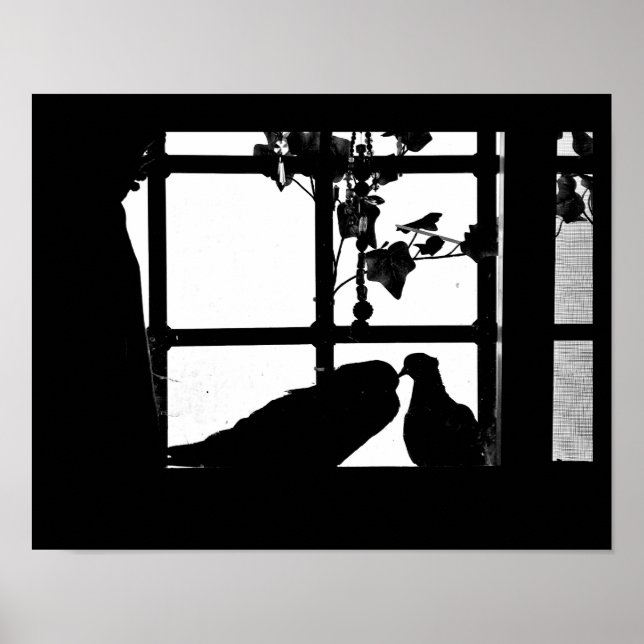 Poster Pigeon Love (Frente)