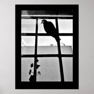 Poster Pigeon Thoughts