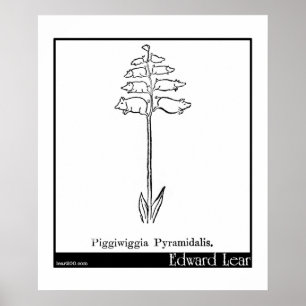 Pôster Piggiwiggia Pyramidalis.