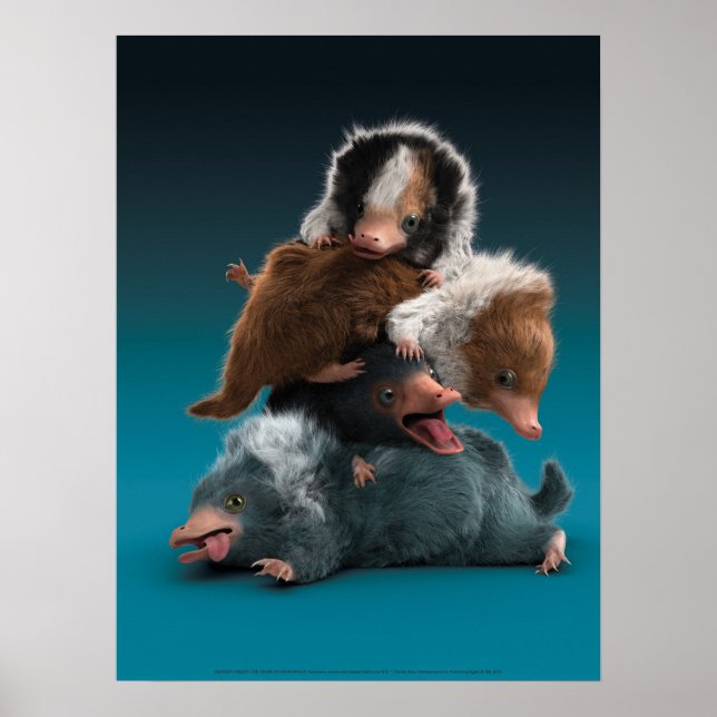 Poster Pilha Baby NIFFLER™ (Frente)