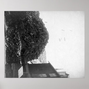 Pôster Pilha da madeira serrada fora da fotografia de De