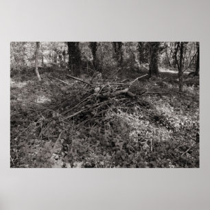 Poster Pilha das varas - aqueça preto e branco tonificad