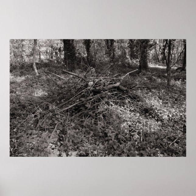 Poster Pilha de palitos - Preto e Branco com tona quente (Frente)