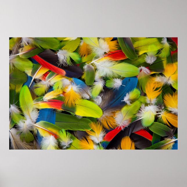 Poster Pilha de penas coloridas (Frente)