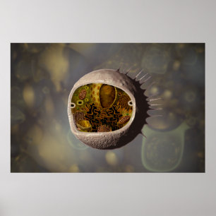 Poster Pilha humana