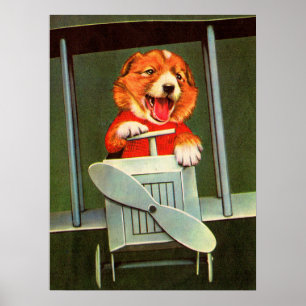 Poster piloto de cães