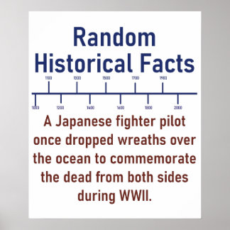 Poster Piloto de combate japonês - Fato histórico