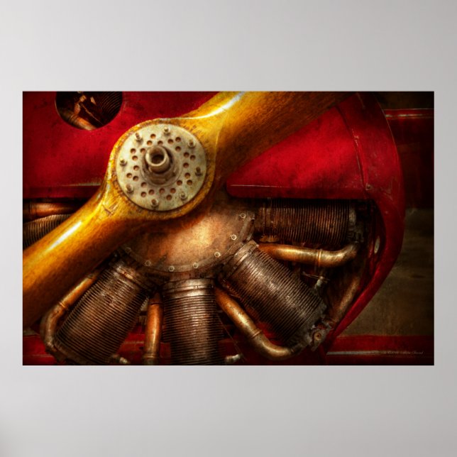 Pôster Piloto - Prop - O barnstormer (Frente)