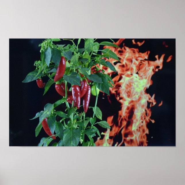 Poster Pimenta Quente Ardente. (Frente)