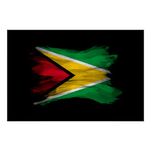 Pôster Pincel da bandeira da Guiana derrame, bandeira nac