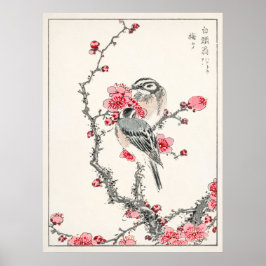 Poster Pine Bunting em Plum Tree por Numata Kashu