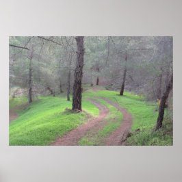 Poster Pine Forest Road