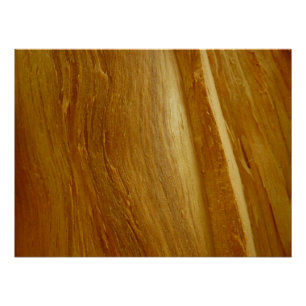Pôster Pine Wood II Faux Textura em madeira