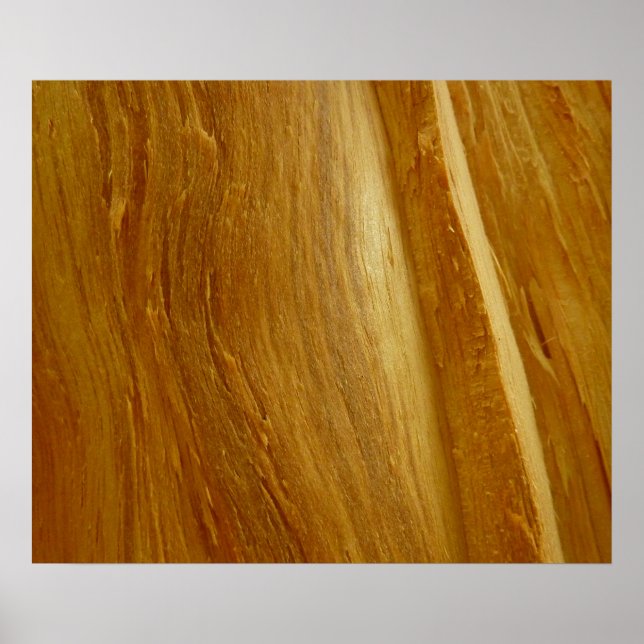 Poster Pine Wood II Faux Textura em madeira (Frente)
