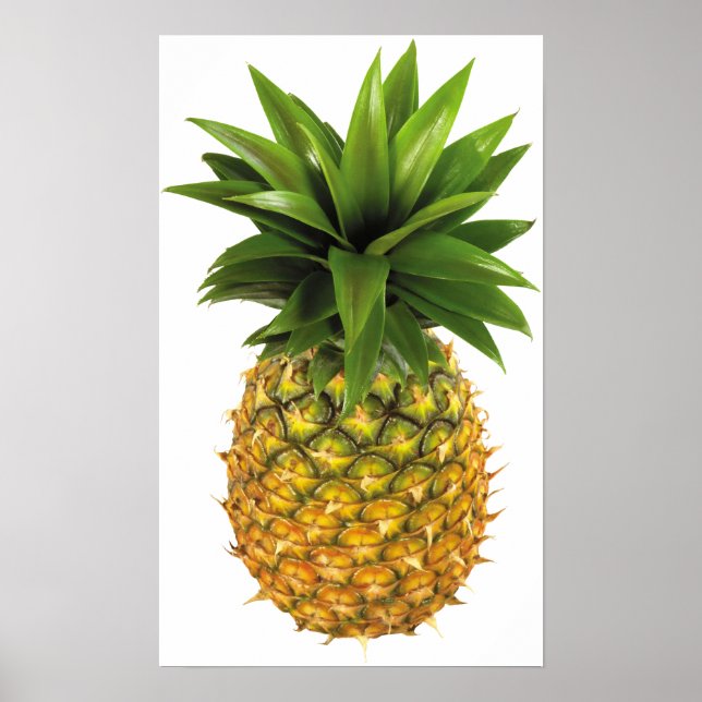 Pôster Pineapple (Frente)