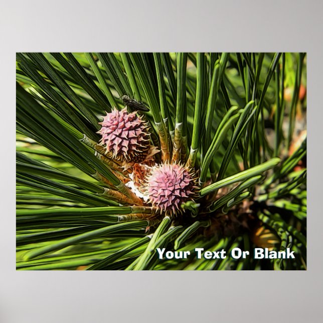 Poster Pineflower (Frente)